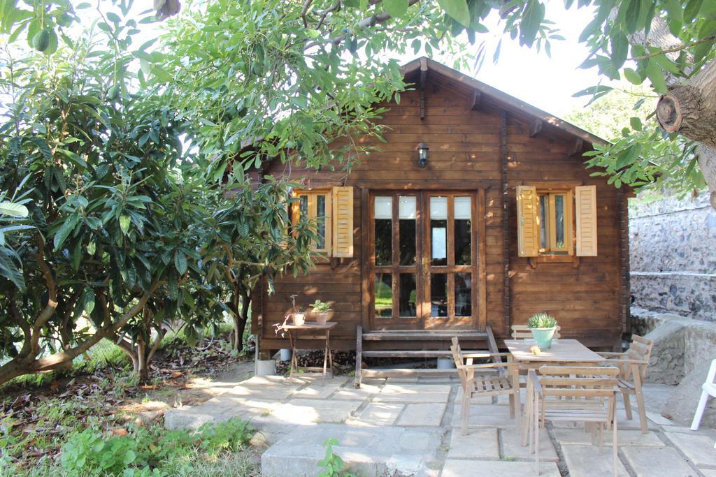 Camping Tropical Almunecar Quarto foto